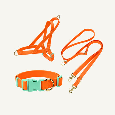 Wholesale Waterproof PVC Dog Harness Set | 3-Piece OEM Dog Walking Set