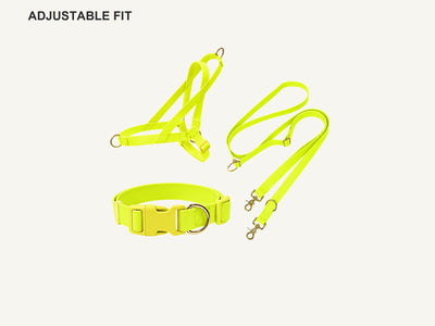 Wholesale Waterproof PVC Dog Harness Set | 3-Piece OEM Dog Walking Set