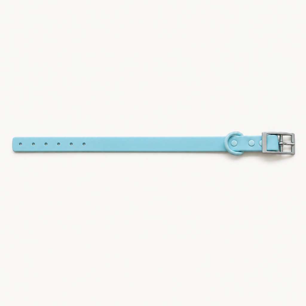 Turquoise PVC Dog Collar with Zinc Alloy Fittings
