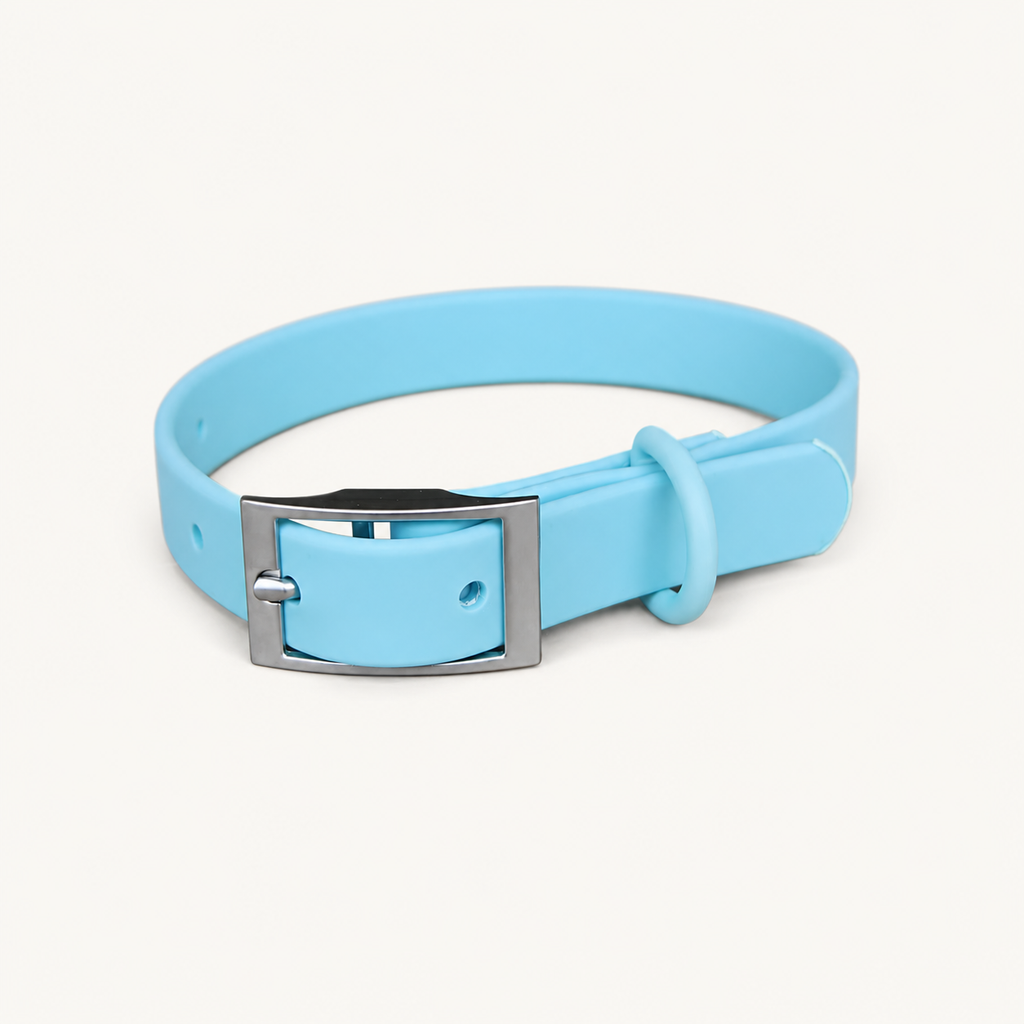 Turquoise PVC Dog Collar with Zinc Alloy Fittings