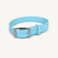 Turquoise PVC Dog Collar with Zinc Alloy Fittings