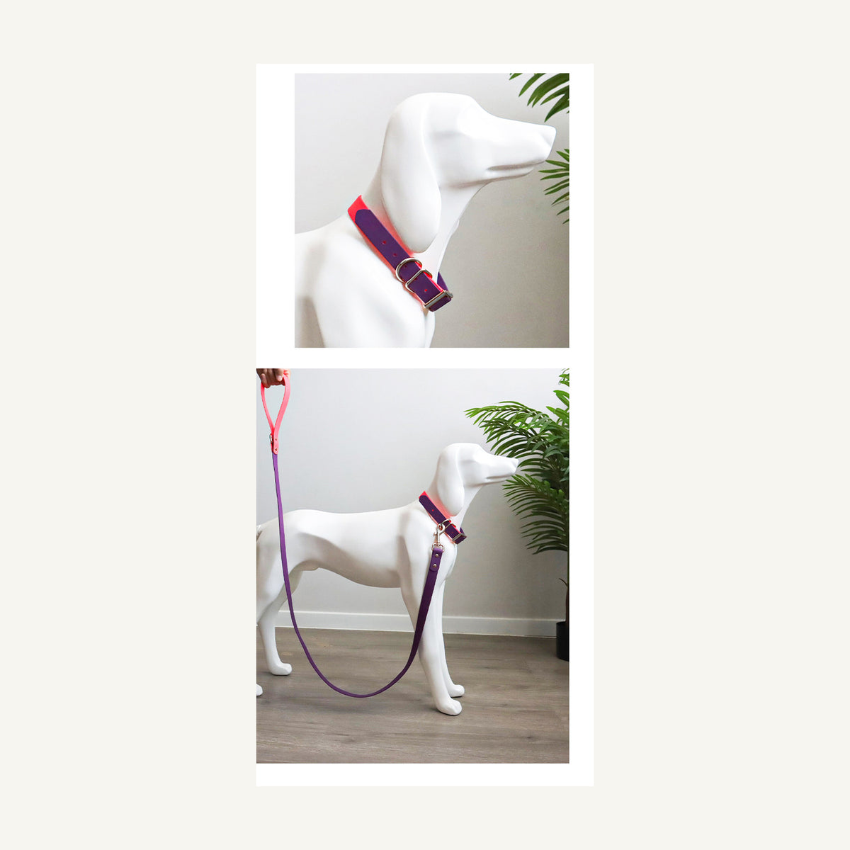 Two tone PVC dog collar leash set displayed on mannequin from two viewing angles