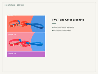 Two tone embossed PVC dog collar leash set detail showing coordinated color blocking