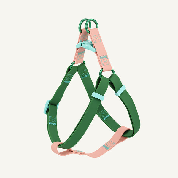 Adjustable Waterproof Coated Webbing Dog Harness – Step-In Design