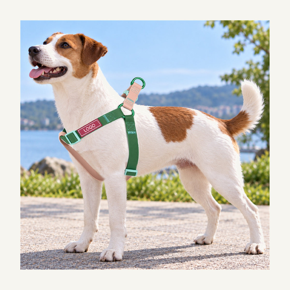 Adjustable Waterproof Coated Webbing Dog Harness – Step-In Design