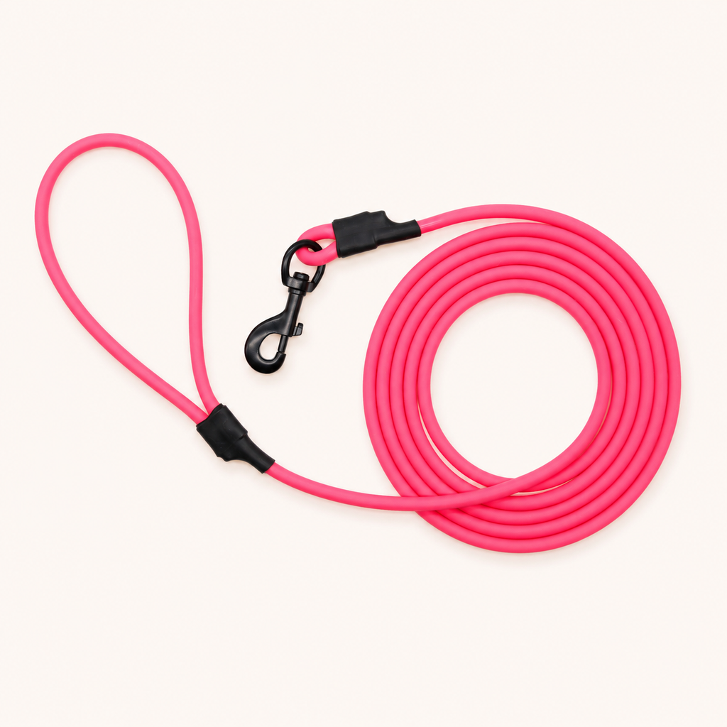 Waterproof Round Dog Leash with Zinc Alloy Hook