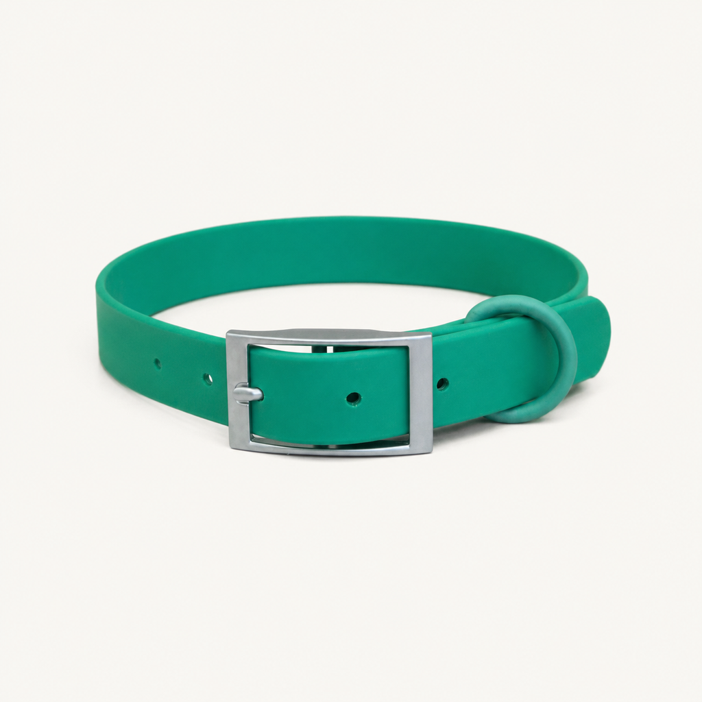 Contour Buckle Waterproof PVC Dog Collar