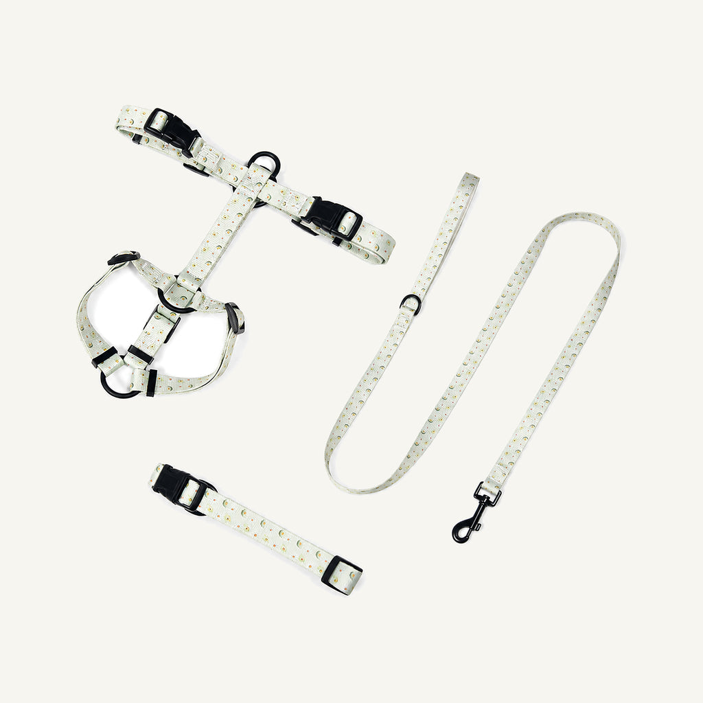 White Black printed polyester dog harness collar and leash set catalogue view for private label buyers