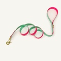 Two-Tone PVC-Coated Dog Leash with Gold-Tone Hardware