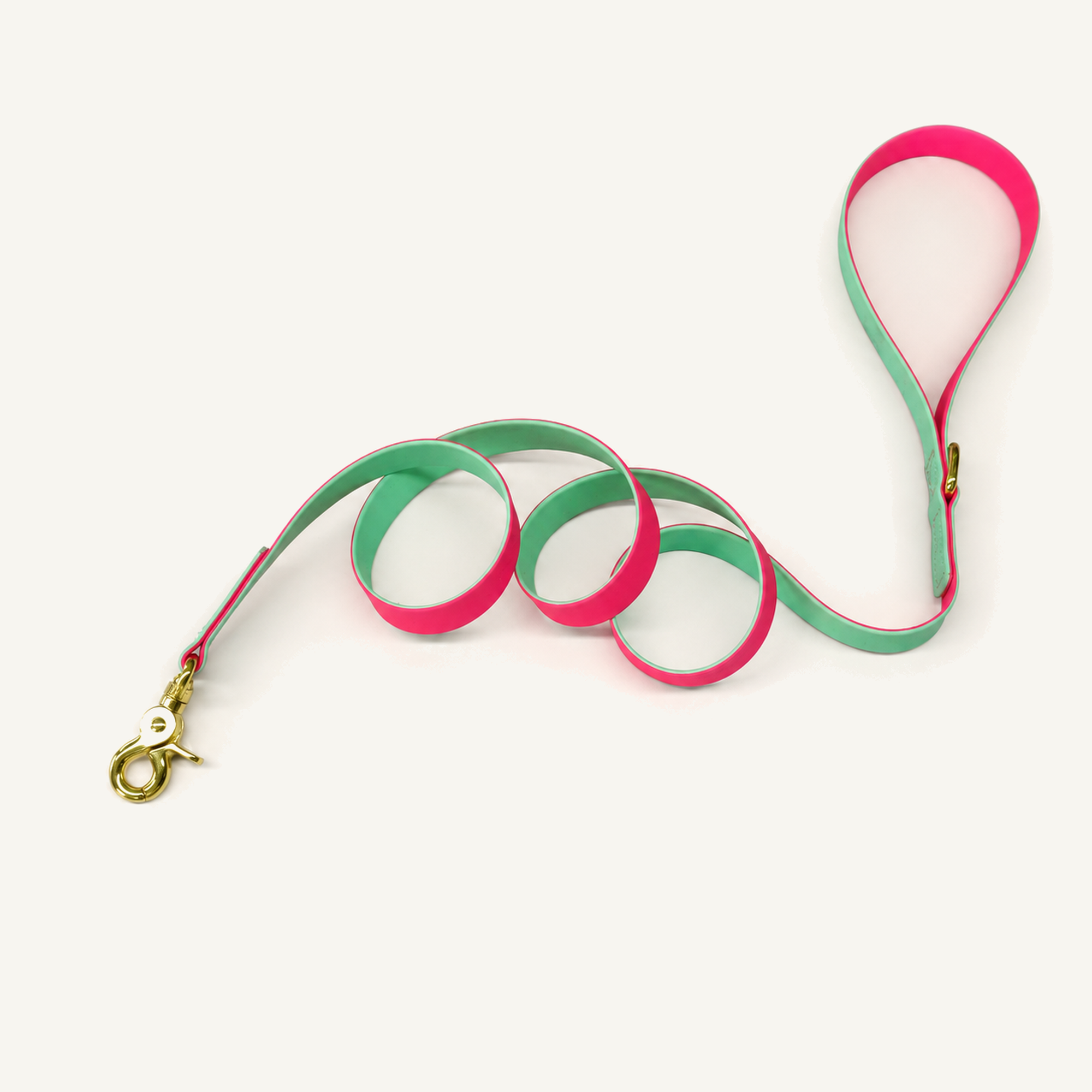 Two-Tone PVC-Coated Dog Leash with Gold-Tone Hardware