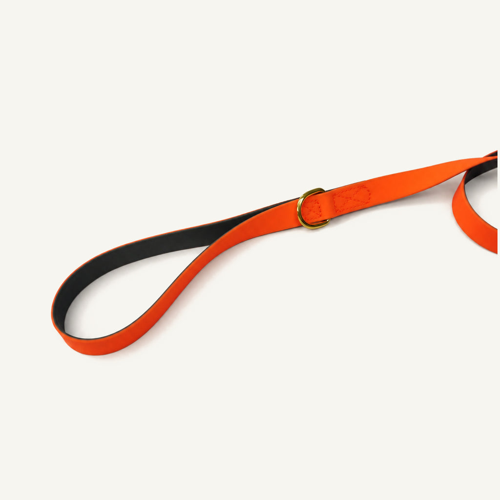 Orange Coated Webbing Dog Leash with D-Ring