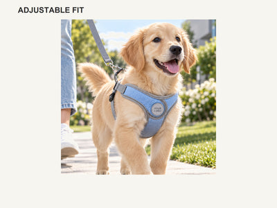 Breathable Reflective Adjustable Dog Harness with Air Mesh