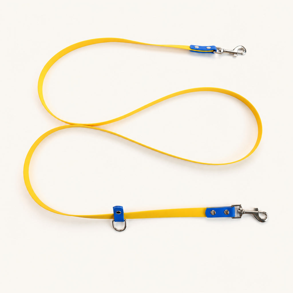 Two-Tone PVC-Coated Double-Ended Dog Leash