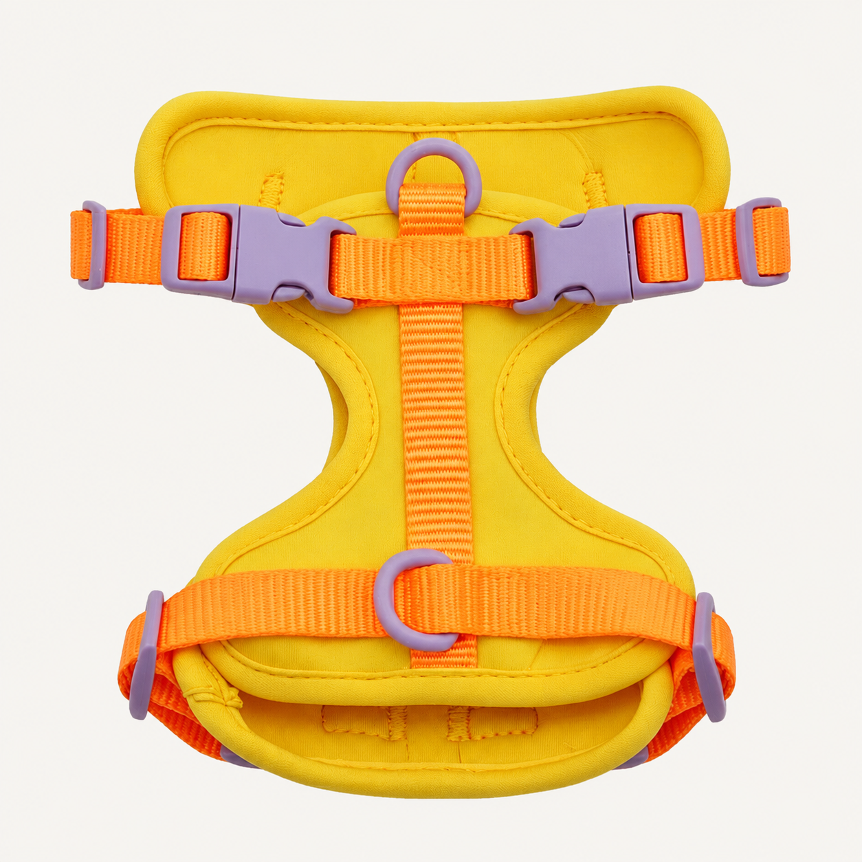 Colorblock Padded Dual-Attachment Dog Harness