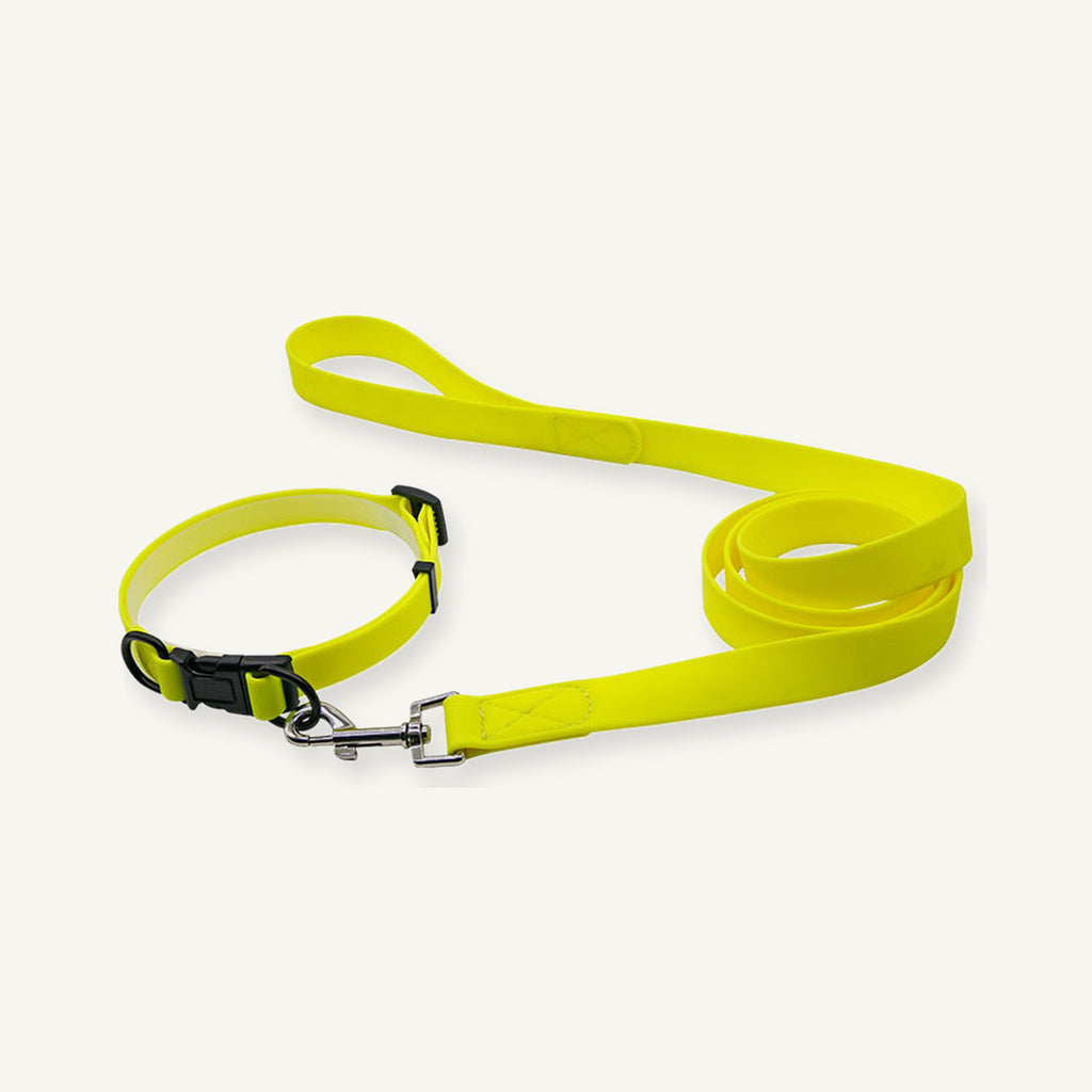 Yellow padded PVC dog collar leash set with coordinated strap and metal clip