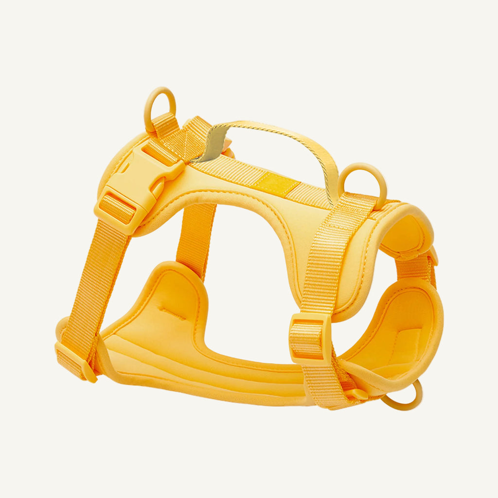 Yellow padded no pull dog harness with control handle catalogue view for private label buyers