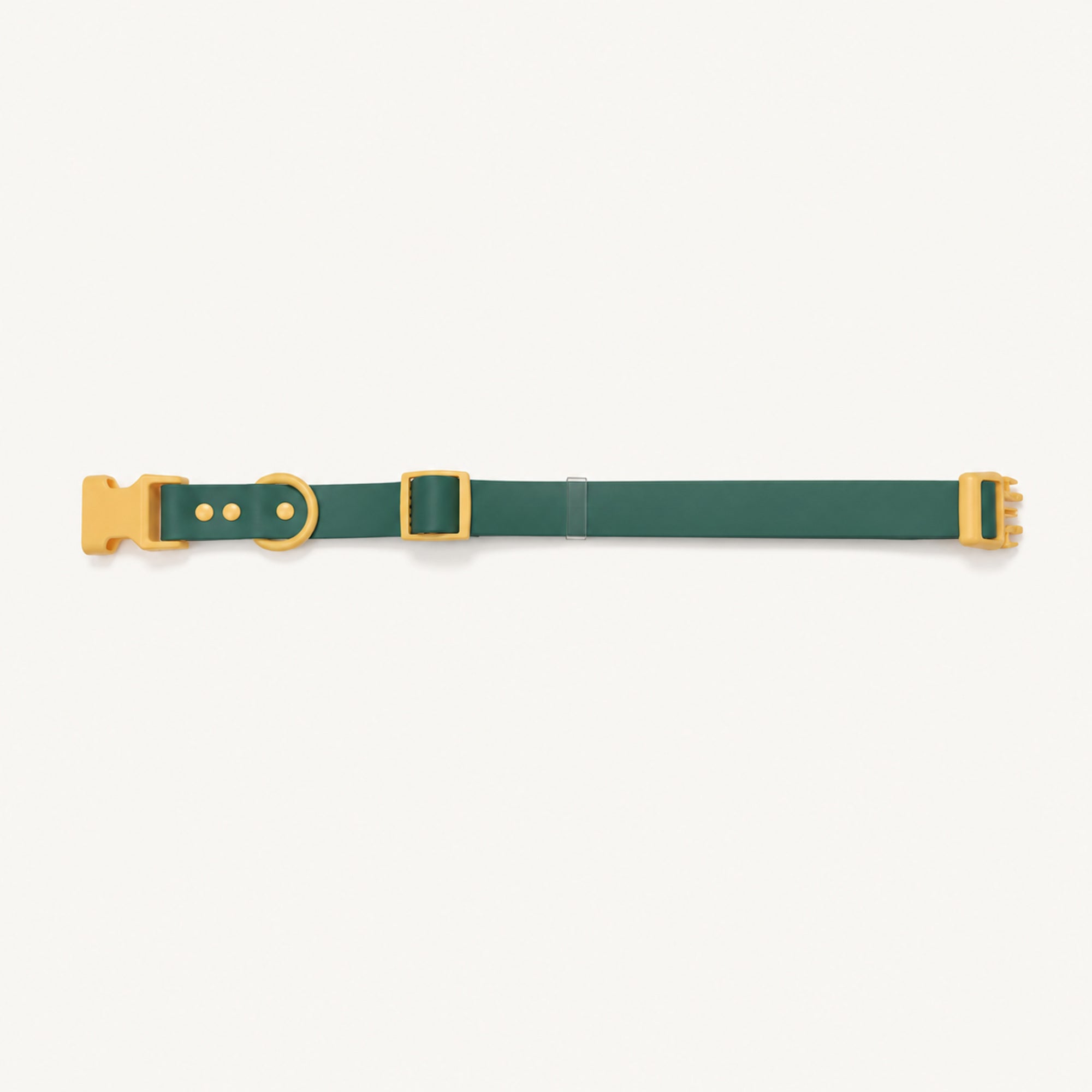 Custom Coated Dog Collar with Contrast Buckle