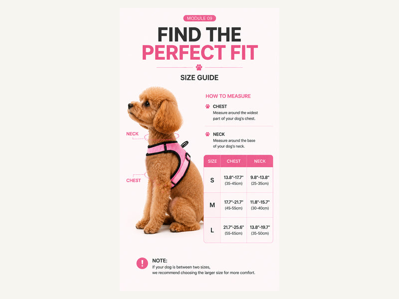 Custom Breathable Air Mesh Dog Harness Measured Fit Guide detail image for wholesale buyers