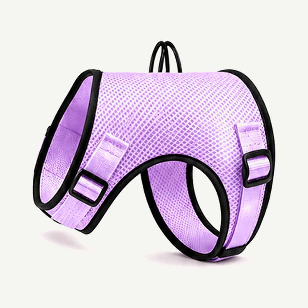 Custom Breathable Air Mesh Dog Harness wholesale product view five on warm neutral background