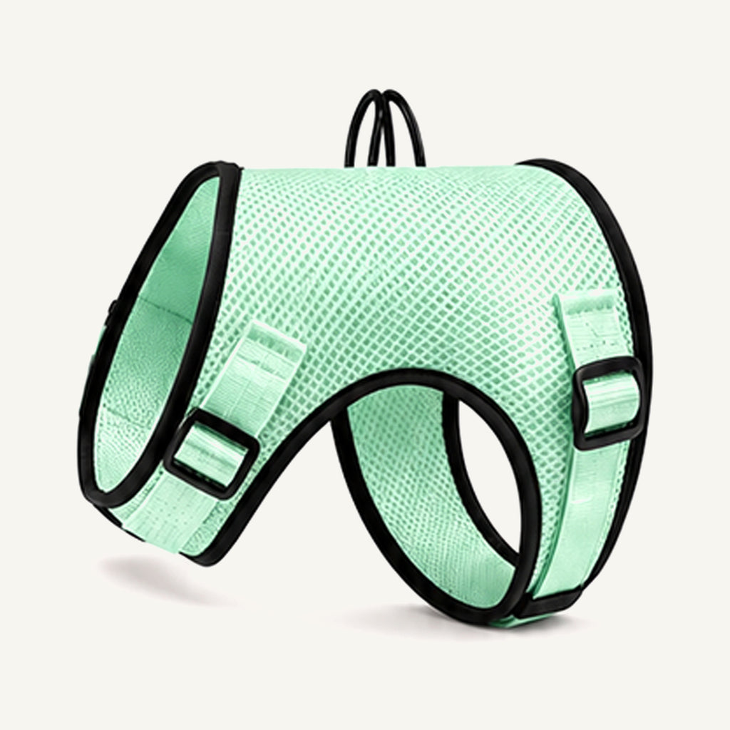 Custom Breathable Air Mesh Dog Harness wholesale product view four on warm neutral background