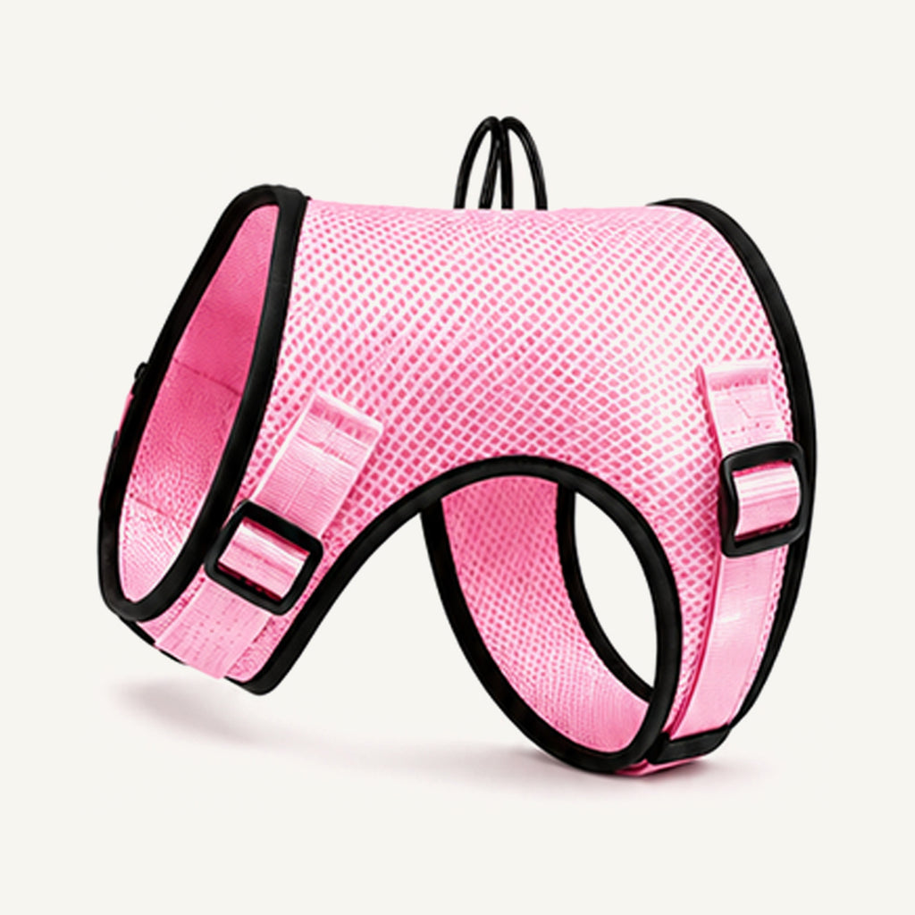 Custom Breathable Air Mesh Dog Harness wholesale product view one on warm neutral background
