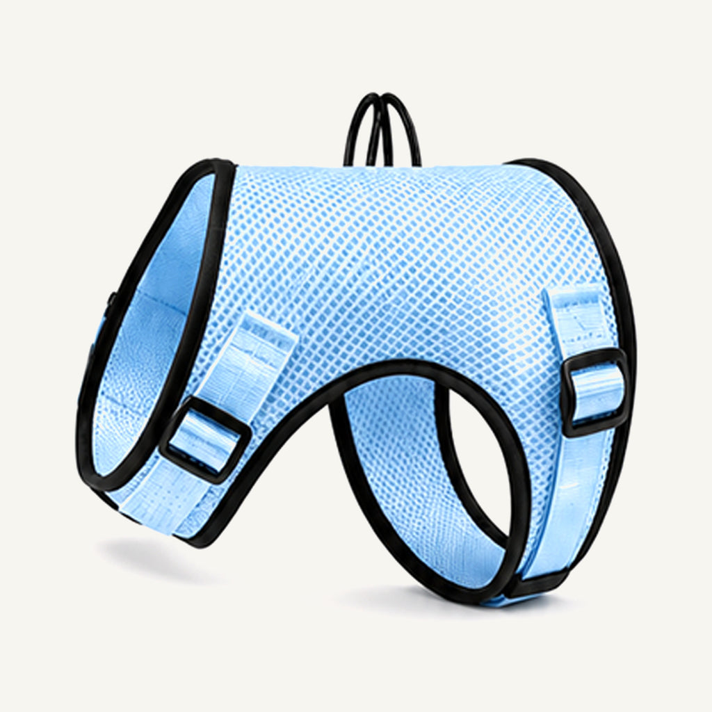 Custom Breathable Air Mesh Dog Harness wholesale product view three on warm neutral background