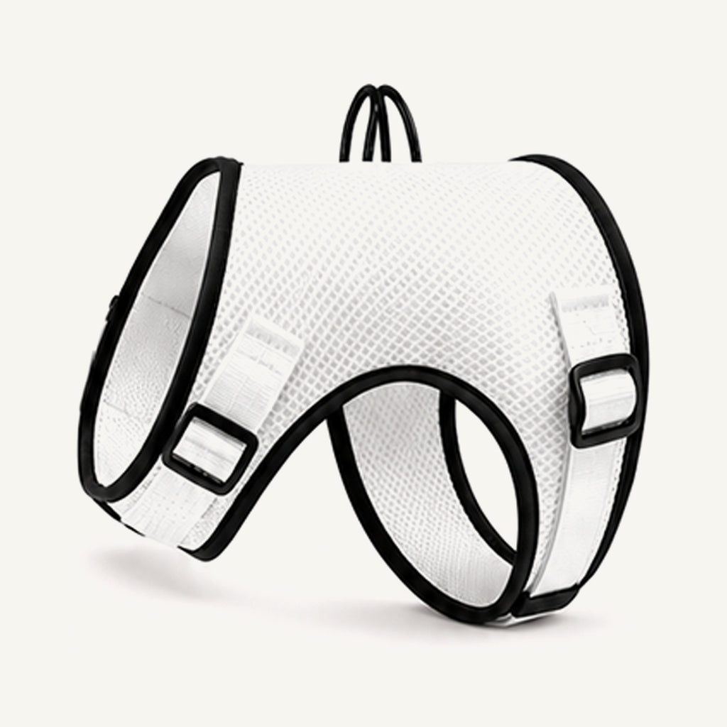 Custom Breathable Air Mesh Dog Harness wholesale product view two on warm neutral background