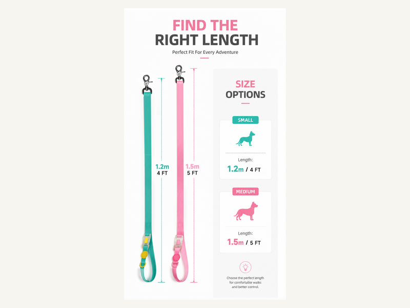 Custom Color Block Waterproof Dog Collar and Leash Set Leash Length Options detail image for wholesale buyers
