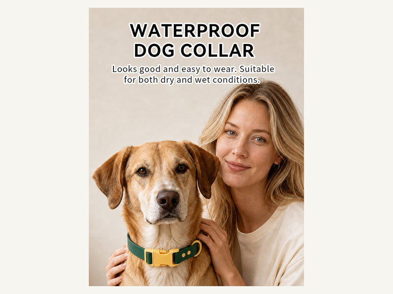 Custom Color Block Waterproof PVC Dog Collar Everyday Wear detail image for wholesale buyers