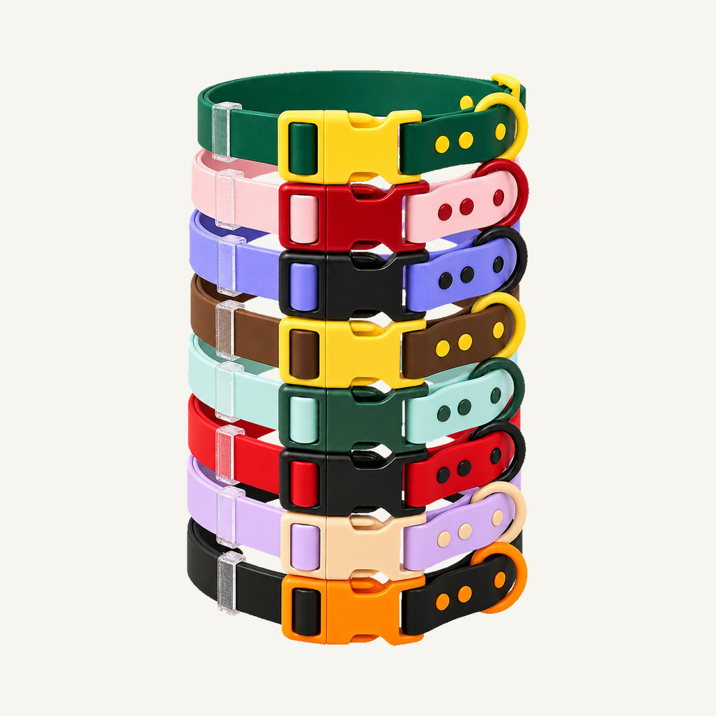 Custom Color Block Waterproof PVC Dog Collar wholesale product view one on warm neutral background