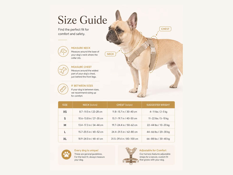 Custom Lightweight Y-Type Nylon Dog Harness Measured Fit Guide detail image for wholesale buyers