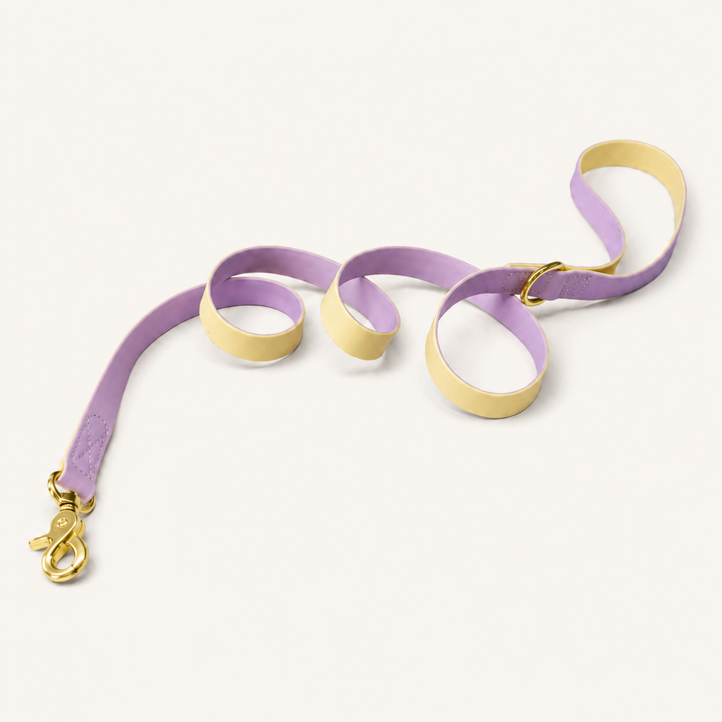 Two-Tone Waterproof PVC-Coated Dog Leash