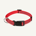 Custom reflective nylon dog collar wholesale product view on warm neutral background
