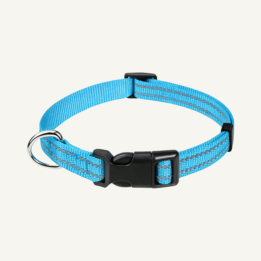 Custom Reflective Nylon Dog Collar with Quick Release Buckle wholesale product view two on warm neutral background