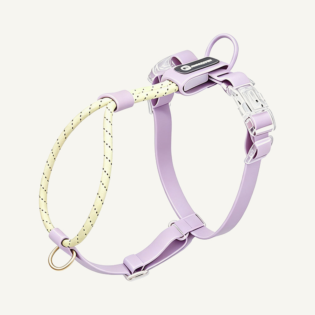 Custom Reflective Rope and Waterproof PVC Dog Harness wholesale product view four on warm neutral background