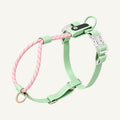 Custom Reflective Rope and Waterproof PVC Dog Harness wholesale product view one on warm neutral background