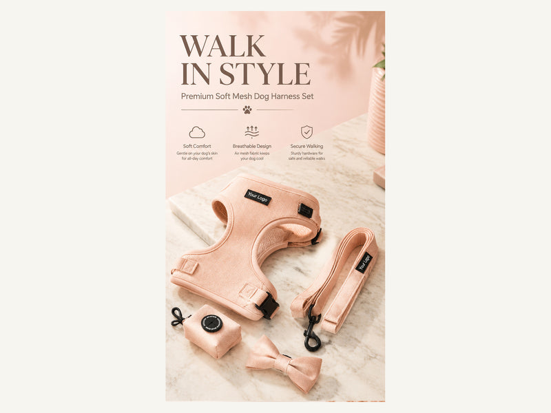 Custom Soft Mesh Dog Harness Four Piece Walking Set Coordinated Style detail image for wholesale buyers