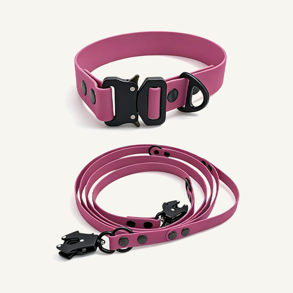 Custom Waterproof Dog Collar and Leash Set with Tactical Buckle wholesale product view one on warm neutral background