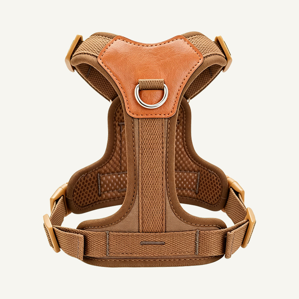 Custom Y-Type Breathable No Pull Dog Harness wholesale product view two on warm neutral background