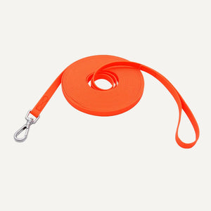 Dog Leashes