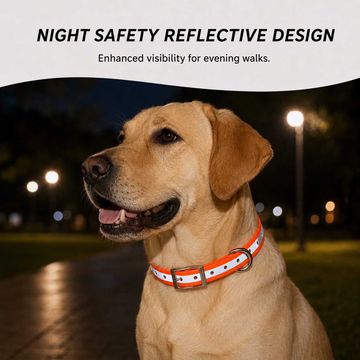 Reflective TPU Training Collar Strap