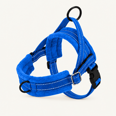 Blue padded reflective dog harness with soft padded contact areas