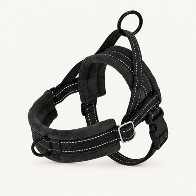 Padded reflective dog harness showing soft padding, metal O-ring, adjustment hardware and quick-release buckle