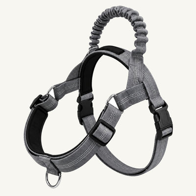 Adjustable Reflective Dog Harness with Elastic Control Handle