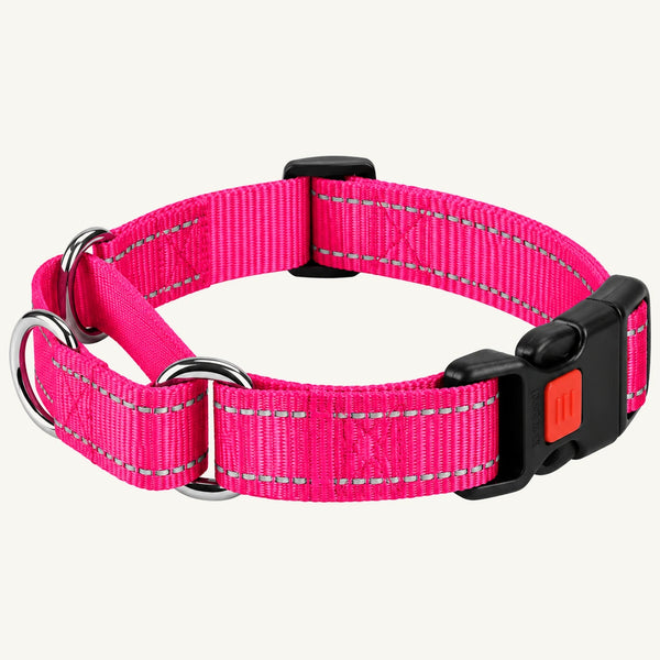 Reflective Nylon Dog Collar with Quick-Release Buckle and Adjustable Fit