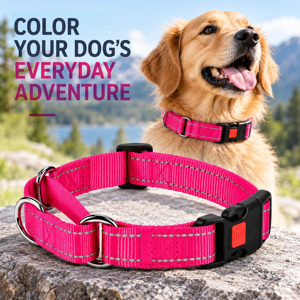 Reflective Nylon Dog Collar with Quick-Release Buckle and Adjustable Fit