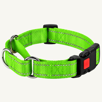 Reflective Nylon Dog Collar with Quick-Release Buckle and Adjustable Fit