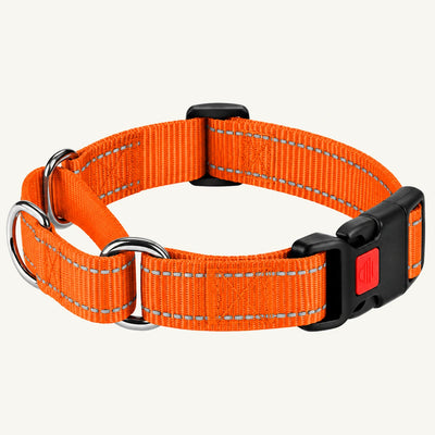 Reflective Nylon Dog Collar with Quick-Release Buckle and Adjustable Fit