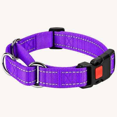 Reflective Nylon Dog Collar with Quick-Release Buckle and Adjustable Fit
