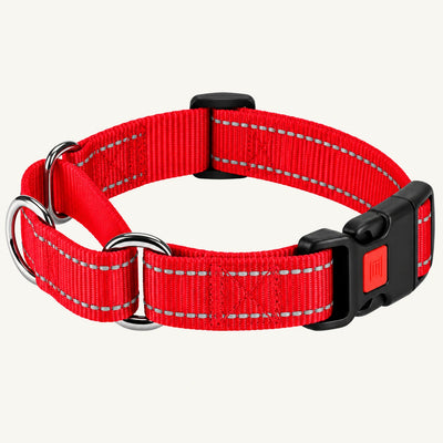 Reflective Nylon Dog Collar with Quick-Release Buckle and Adjustable Fit